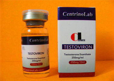 Κίνα Ασφαλέστερα εκχύσιμα στεροειδή 315-37-7 Testoviron Enanthate τεστοστερόνης 250 mg προμηθευτής